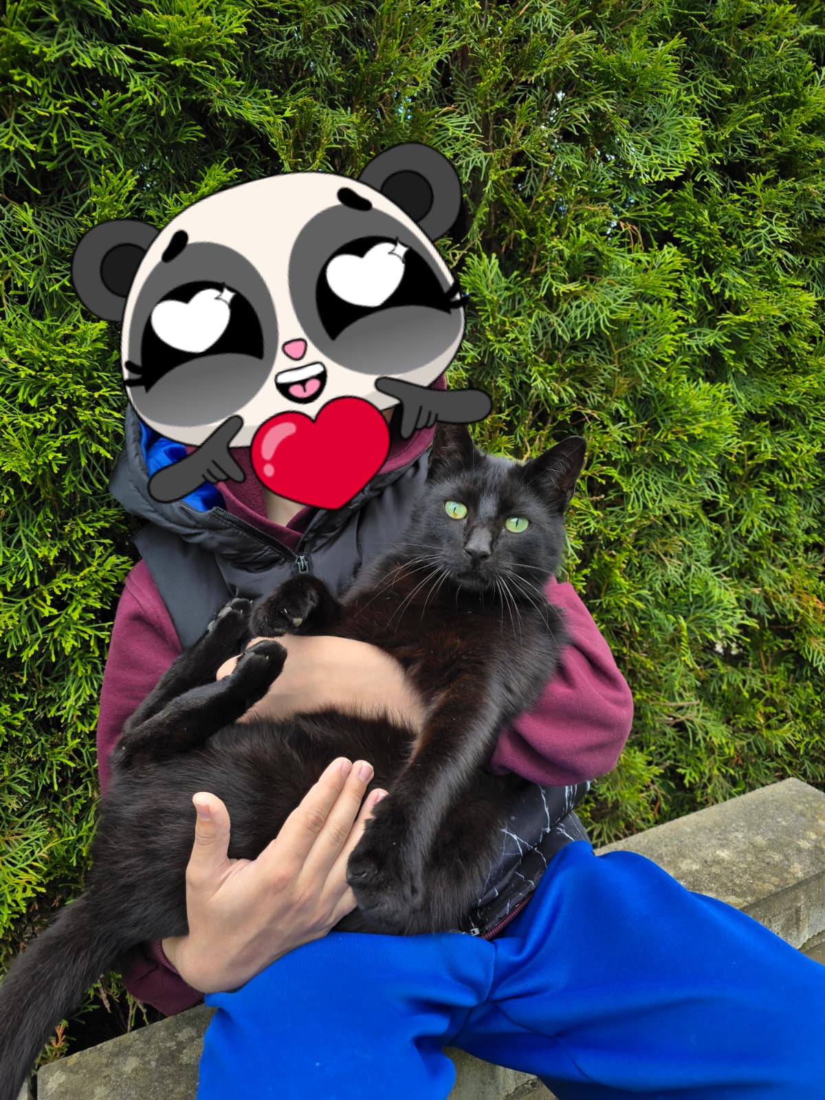 Vermisst: Kater Barsik
