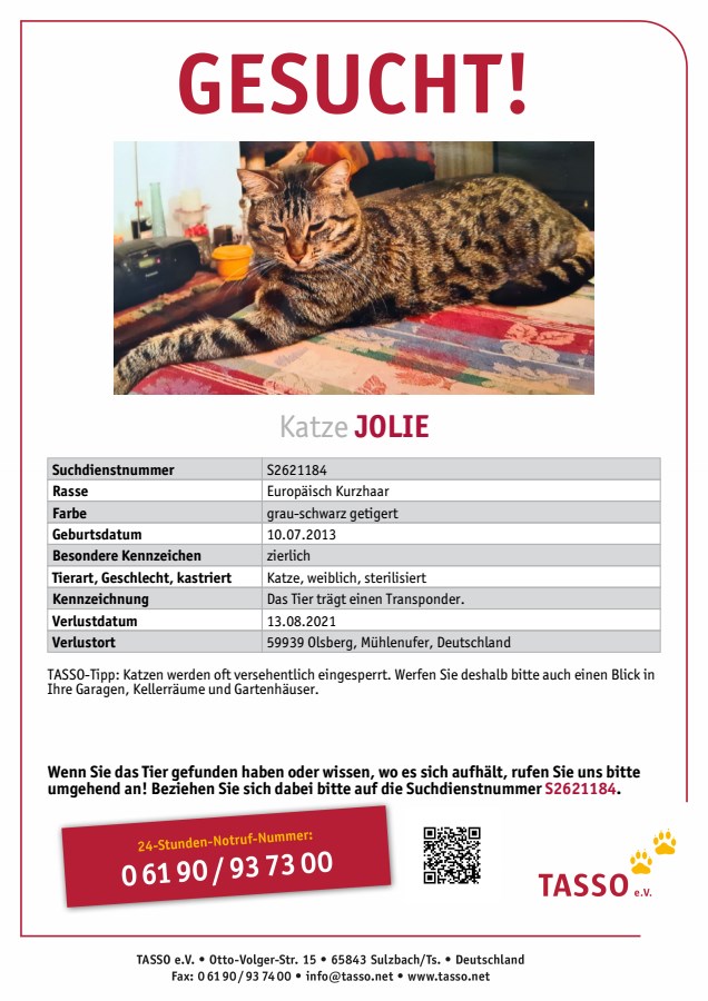 Vermisst: Jolie aus Olsberg